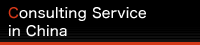 Consulting Service in China