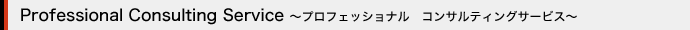 プロフェッシナルコンサルティングサービス